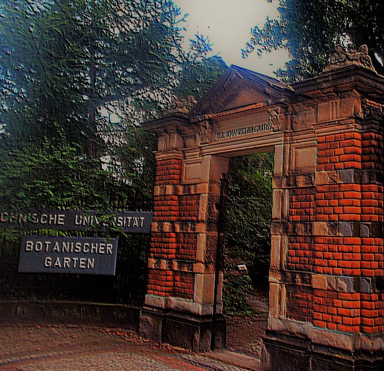 Der Botanische Garten Dresden Auszeit in der City