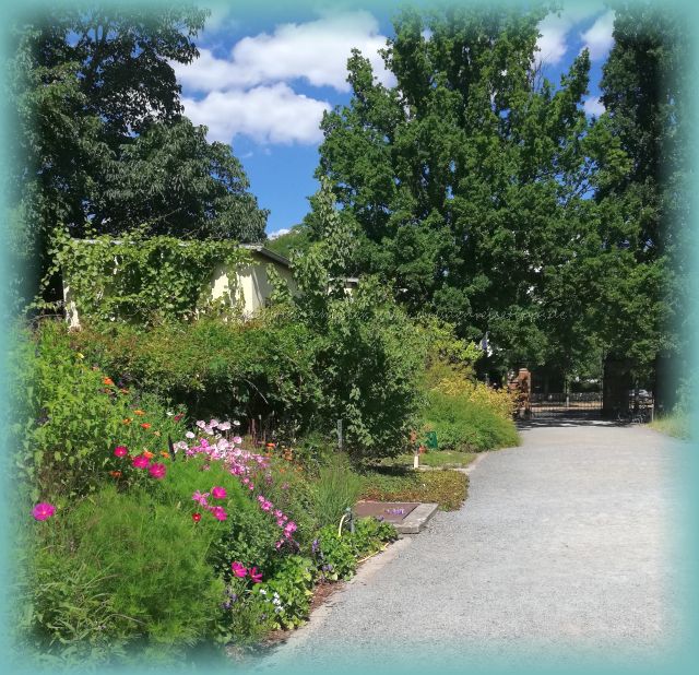 Der Botanische Garten Dresden Auszeit in der City dresdenreisetipps.de
