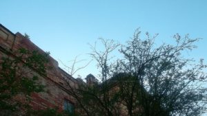 Dresden Reise Elbflorenz präsentiert Ruine Malzfabrik Ruine Dresdner Malzfabrik