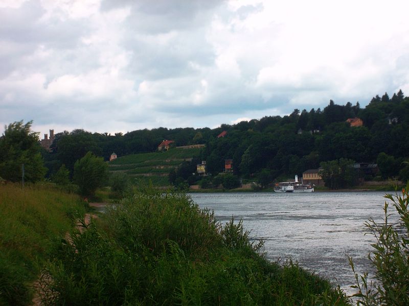 Elbe baden in Dresden