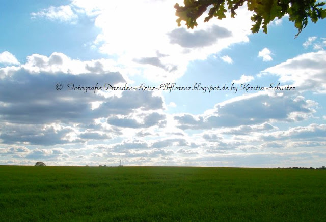 Landschaft Dresden Weißig