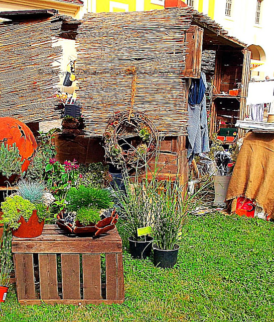 Stand mit Blumen und Pflanzen