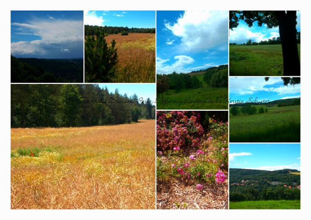 Natur Sächsische Schweiz Osterzgebirge Landschaftsaufnahme