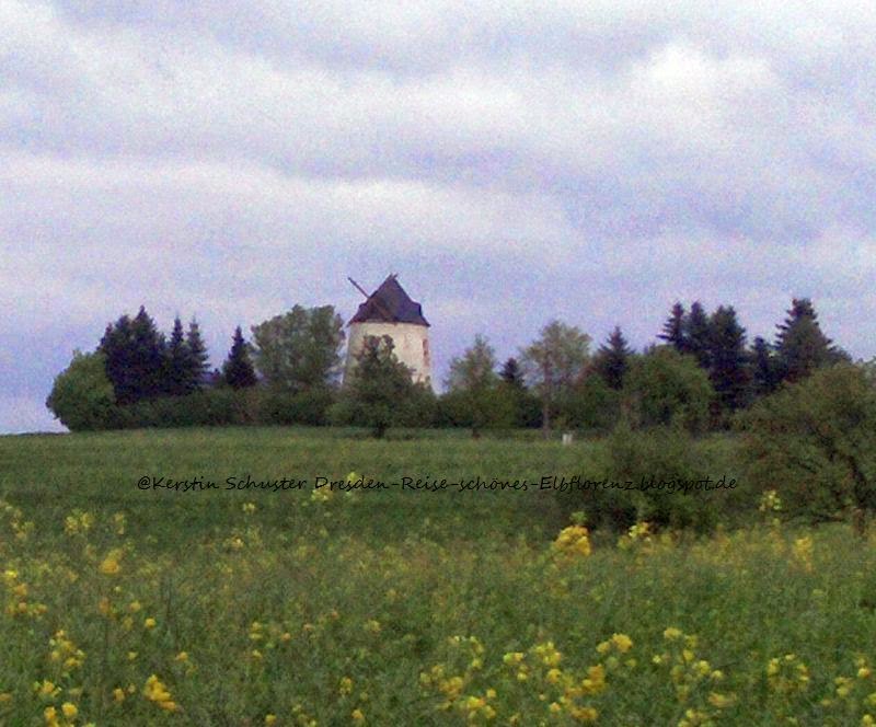 Windmühle Schönfelder Hochland