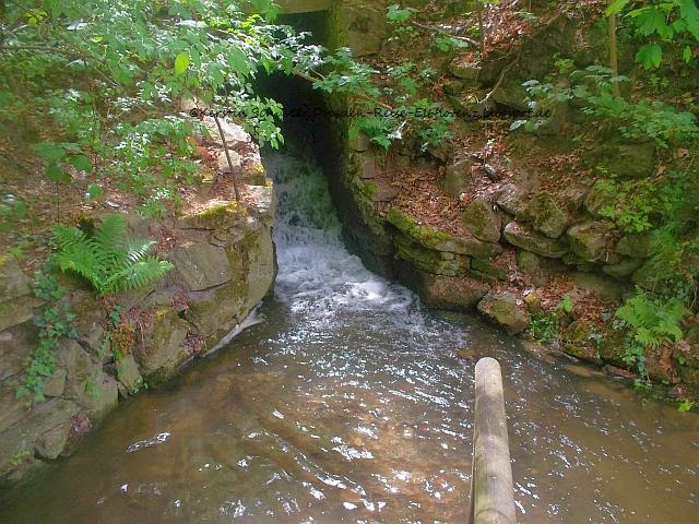 Klosterwasser Oberlausitz Kräuter-Fußbad im Kloster St. Marienstern