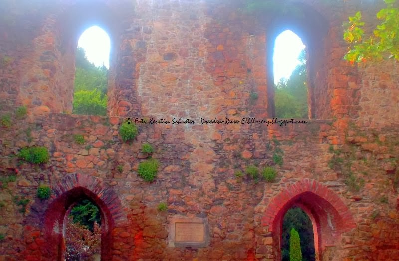 romantische Burgruine im Schlösserland Sachsen Tharandt bei Freital Ausflugsziel