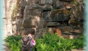 Dresdner Zoo