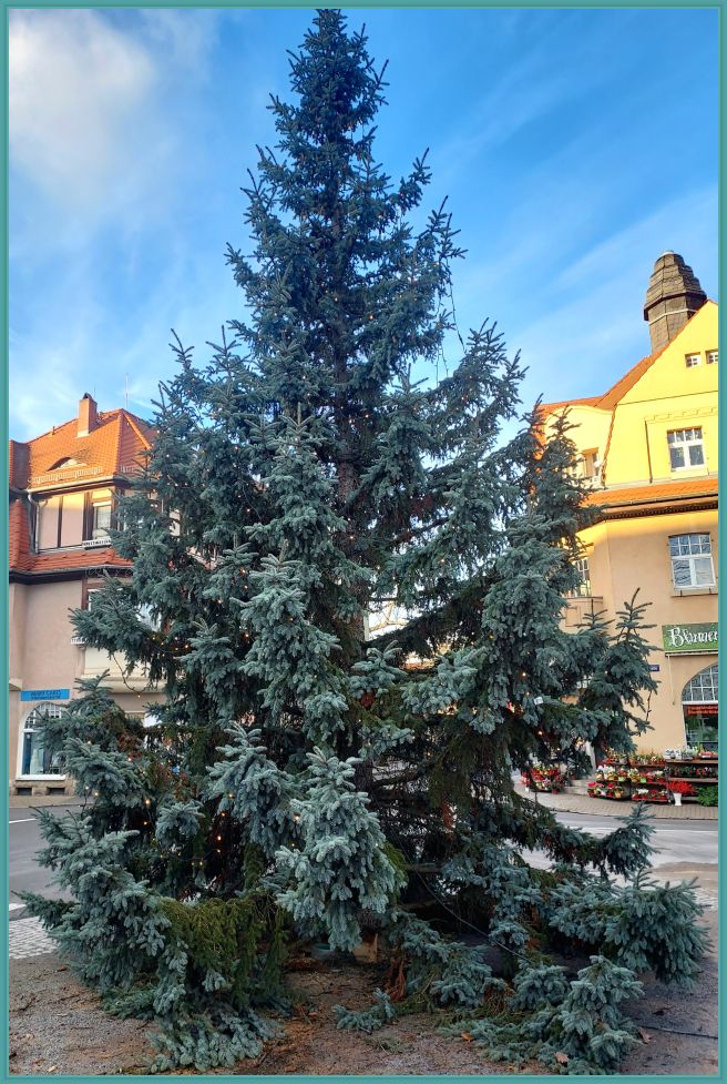 Weihnachten mit Fürst Putjatin